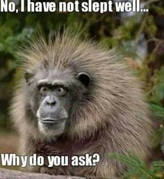 7bc97321e17c590673028a6e8373a029--sleep-well-no-sleep (1).jpg