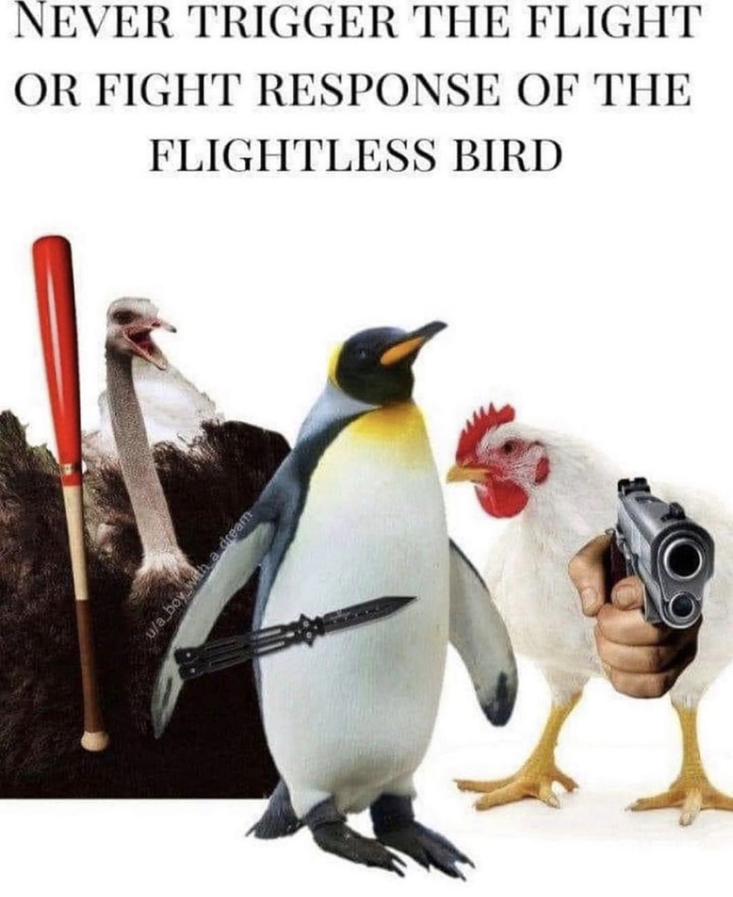 7C043B23-C2B2-40EB-894E-E258F9E94109.jpg
