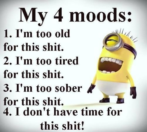 7c3b2776c660b42c5d47e474c00efc72--funny-saturday-quotes-monday-humor-quotes.jpg