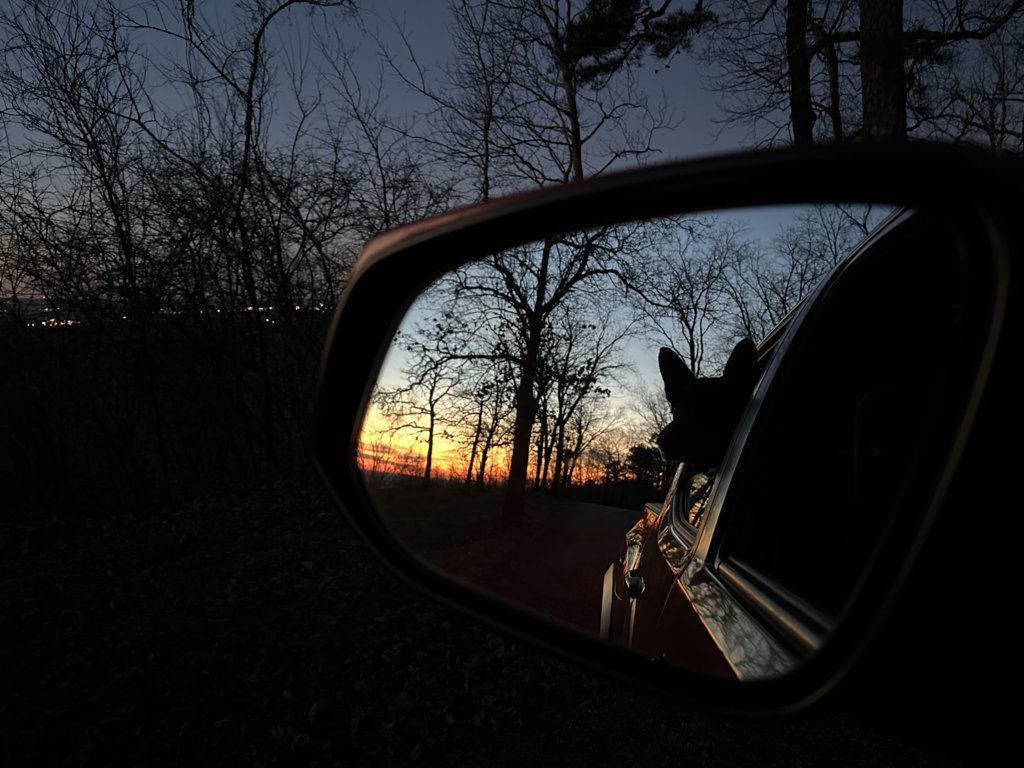 7C7D7012-C8E6-45C3-BCC7-47C9CA9B6711.jpg