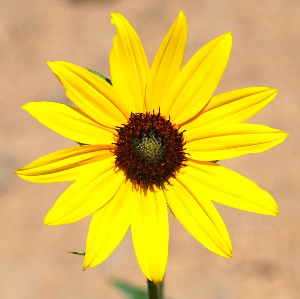 7ca11826-8d6f-4097-94c8-34e888aa57f6_zps_9307e97be77abf1d755cb6c442daeb18930912bd.jpg