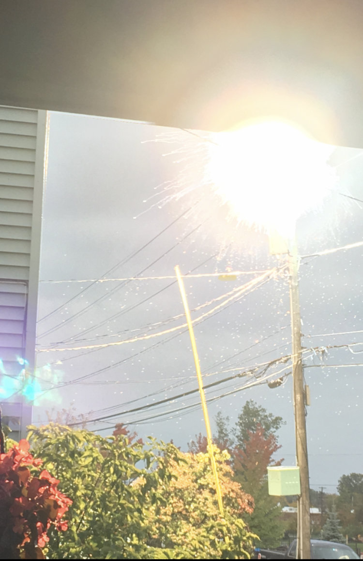 7D471788-2850-4894-8184-DC0A4C41955C.jpg