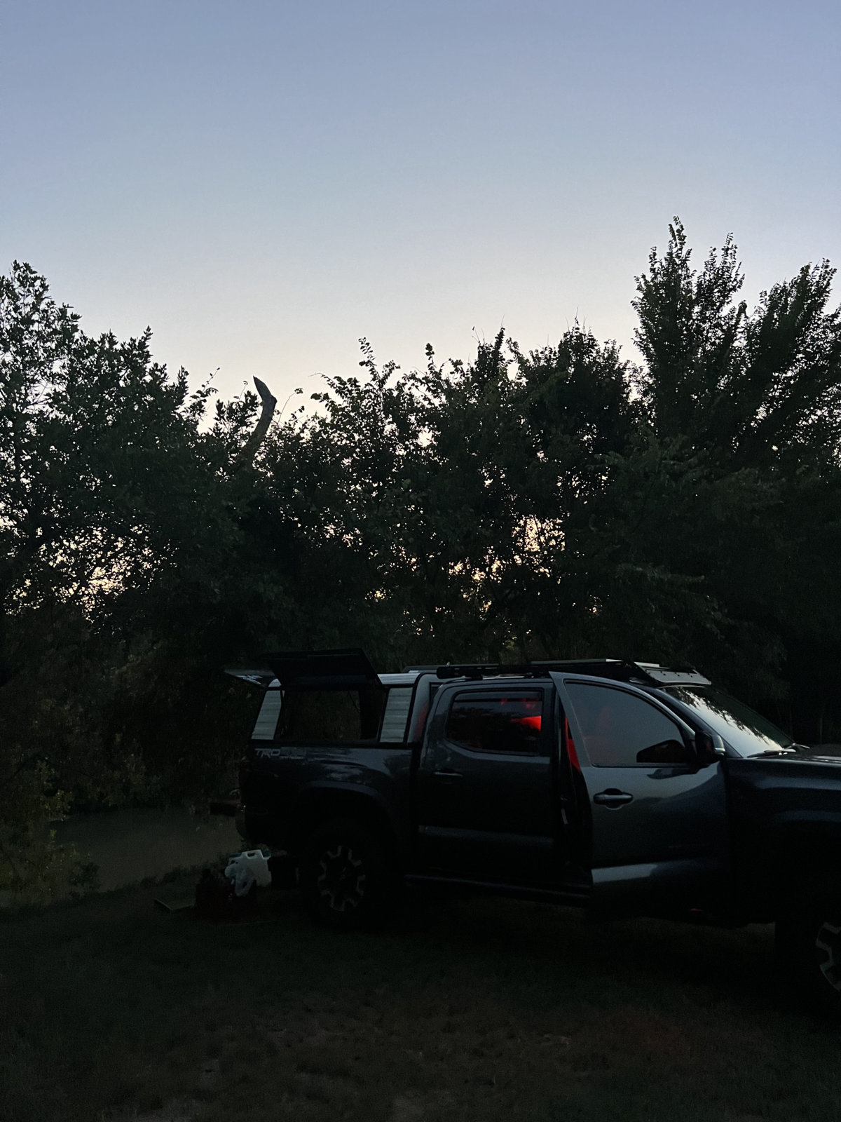 7D4AC9EC-7A1E-460D-97DE-3E77B9D6D3DC.jpg