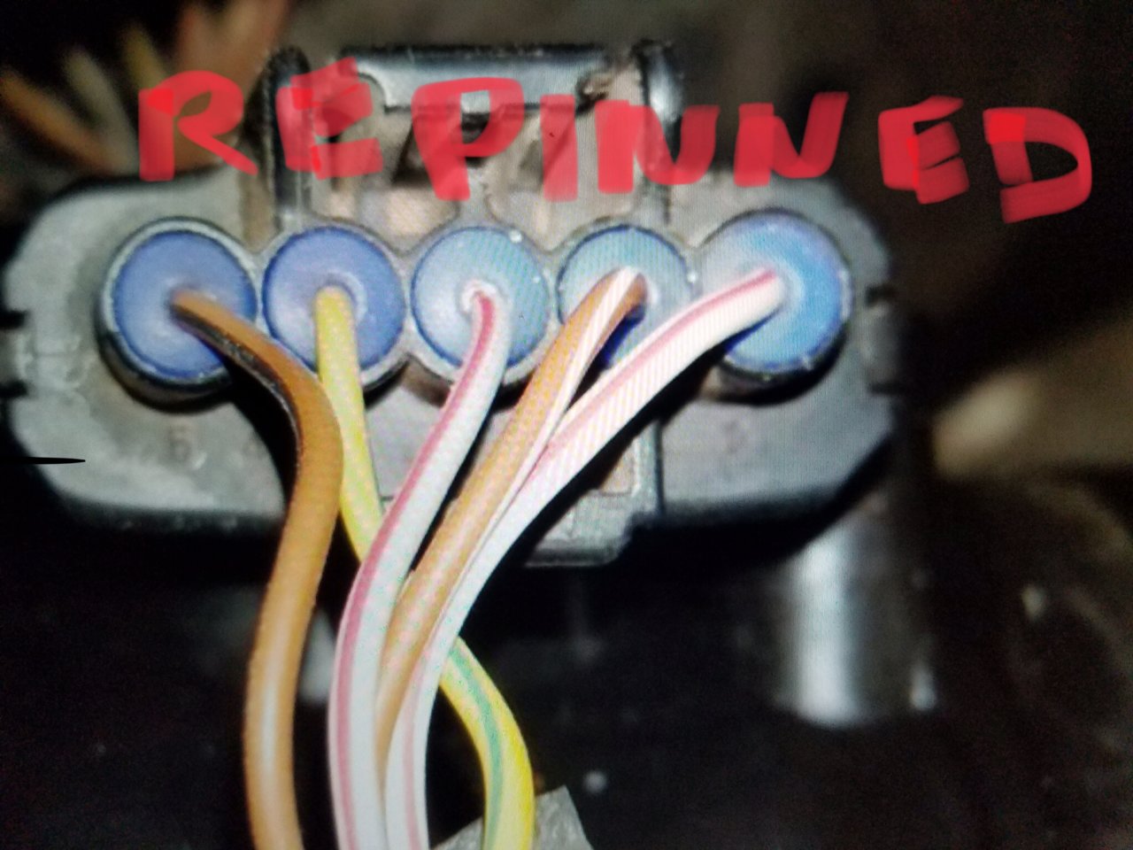 7DB2DF00-9731-4421-BC1B-096F025B25A7.jpg