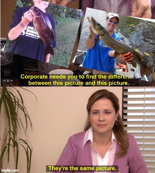 7dsdkz.jpg