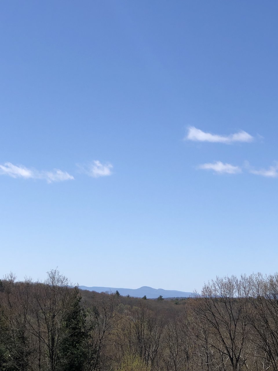 7E297119-8809-496A-A8F8-F614C23F560C.jpg