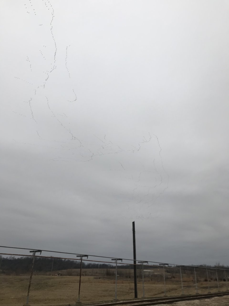 7E7D87AE-BF93-443C-A687-B19F42158B50.jpg
