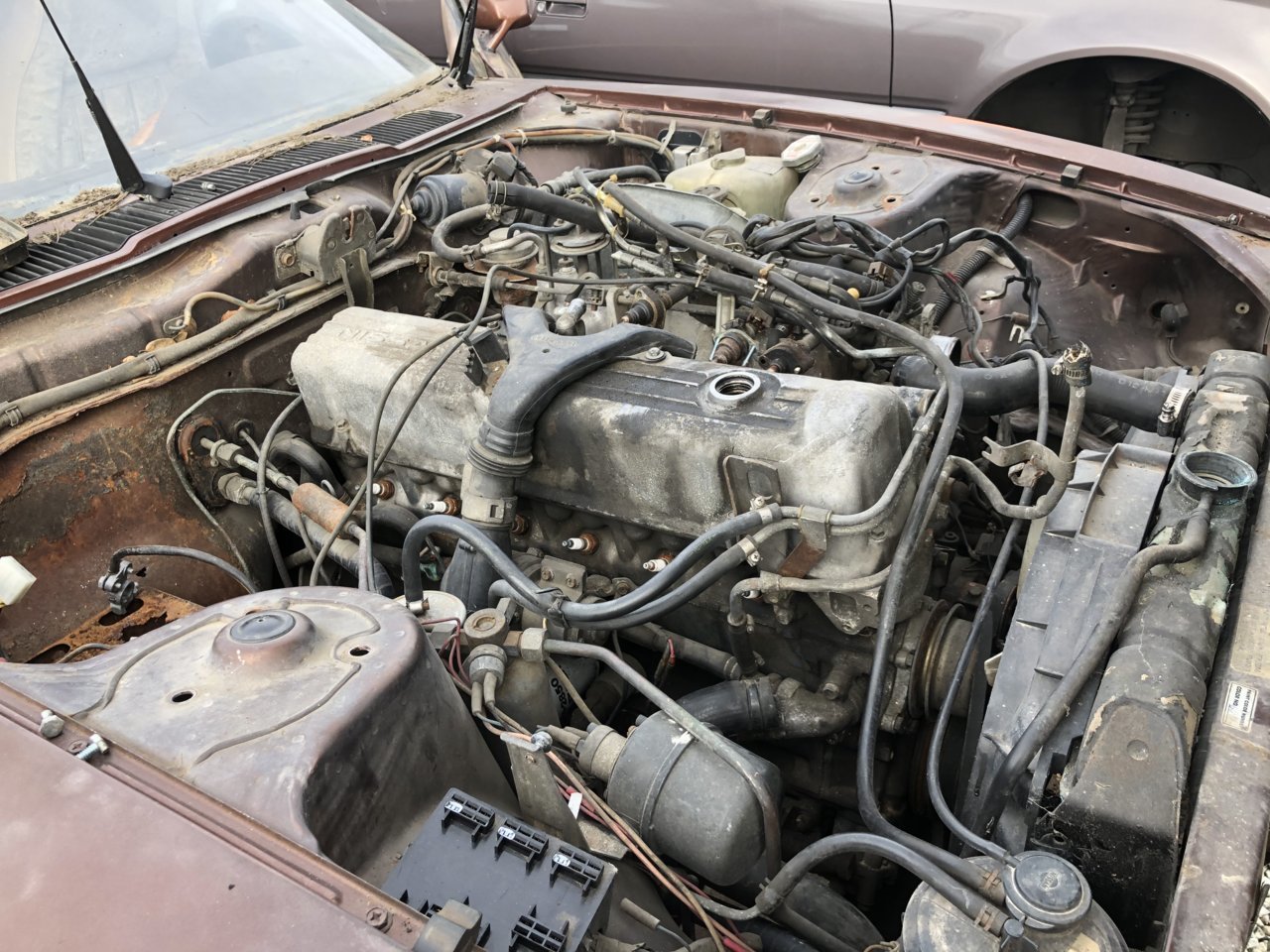 7ED96E71-1324-4B39-901B-FA5828CCC4C6.jpg