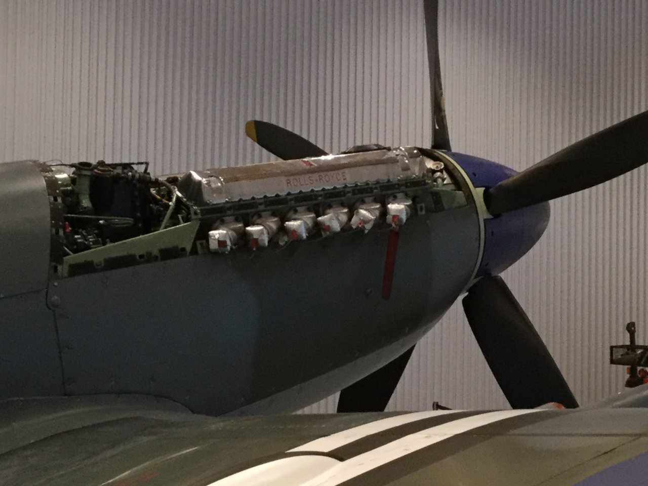 7F4CC465-51F9-4F3A-B61E-3829F39AFBB9.jpg