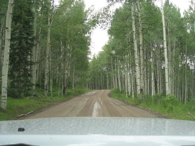 7KeblerPass1_7117e7c38ebc9b68ac4bca83694c61c3ccd52eaf.jpg