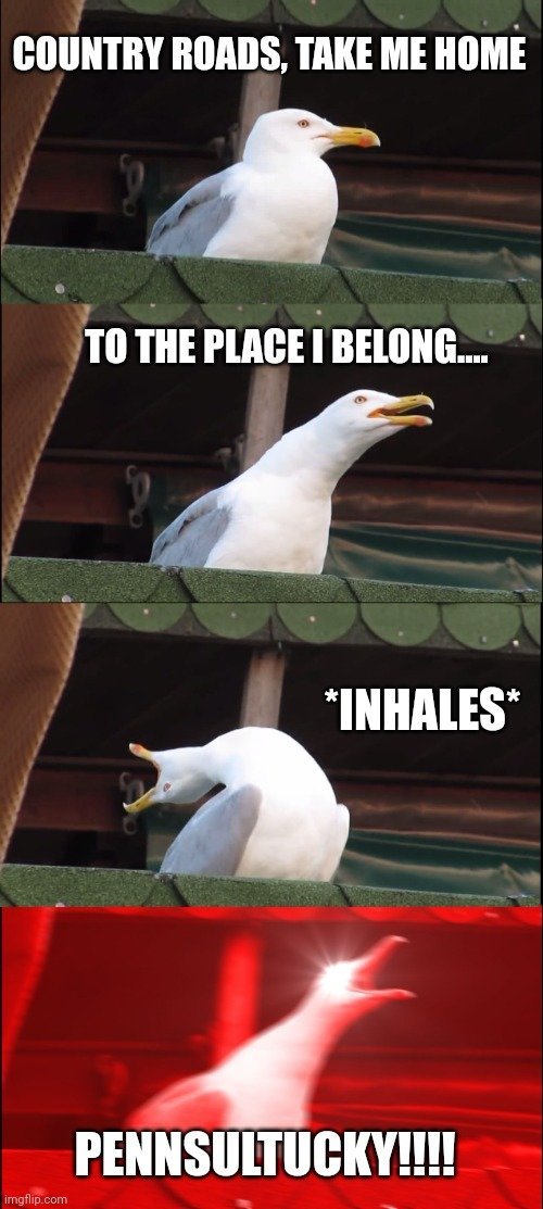 7qvmdk.jpg