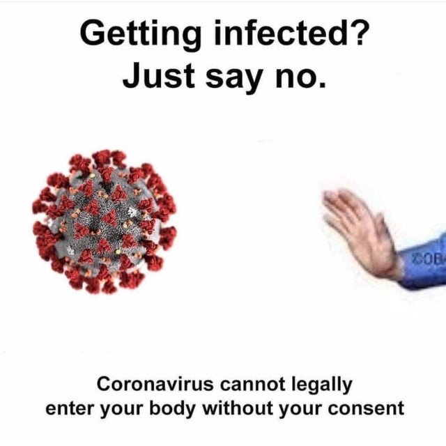 7wzwu0h40lj41.jpg