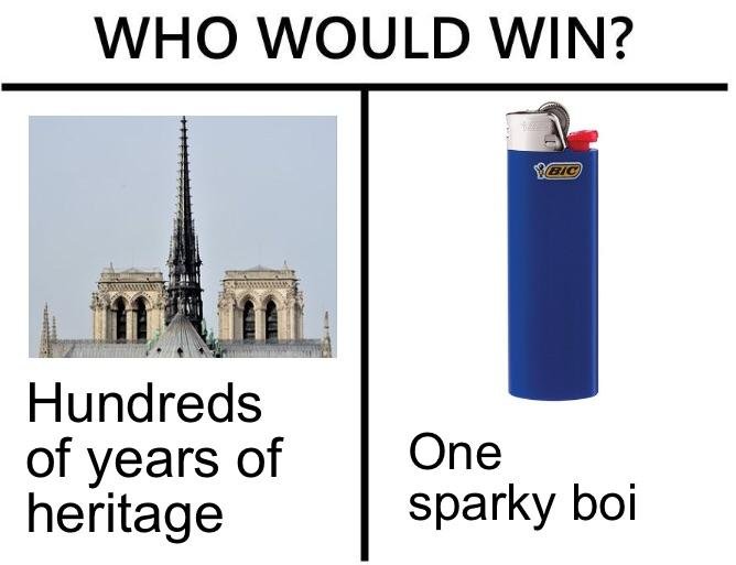 7z0x1vcejhs21.jpg