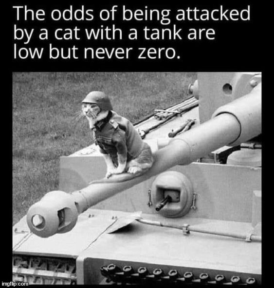 7zdusc.jpg