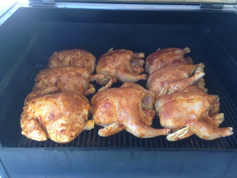 8 chickens.jpg