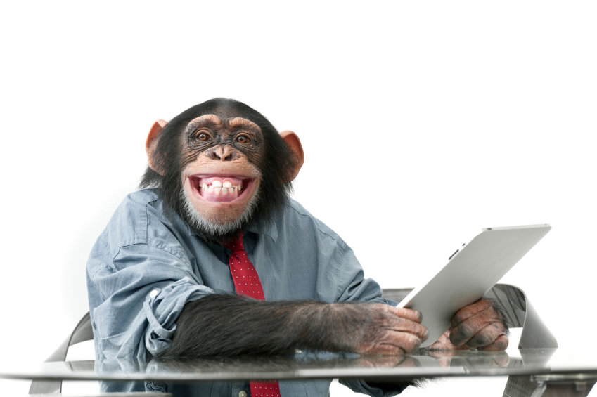 8-Monkey-at-Desk-Smiling-.jpg