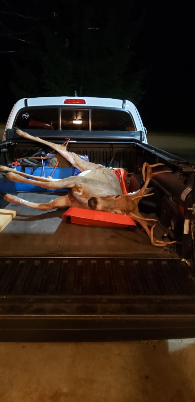 8 pt buck in truck.jpg