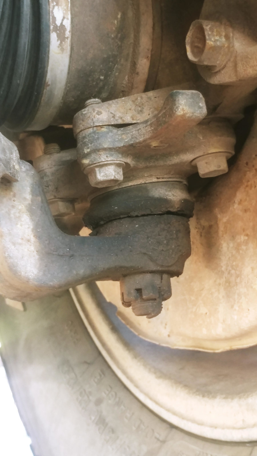 8 yo OEM.jpg