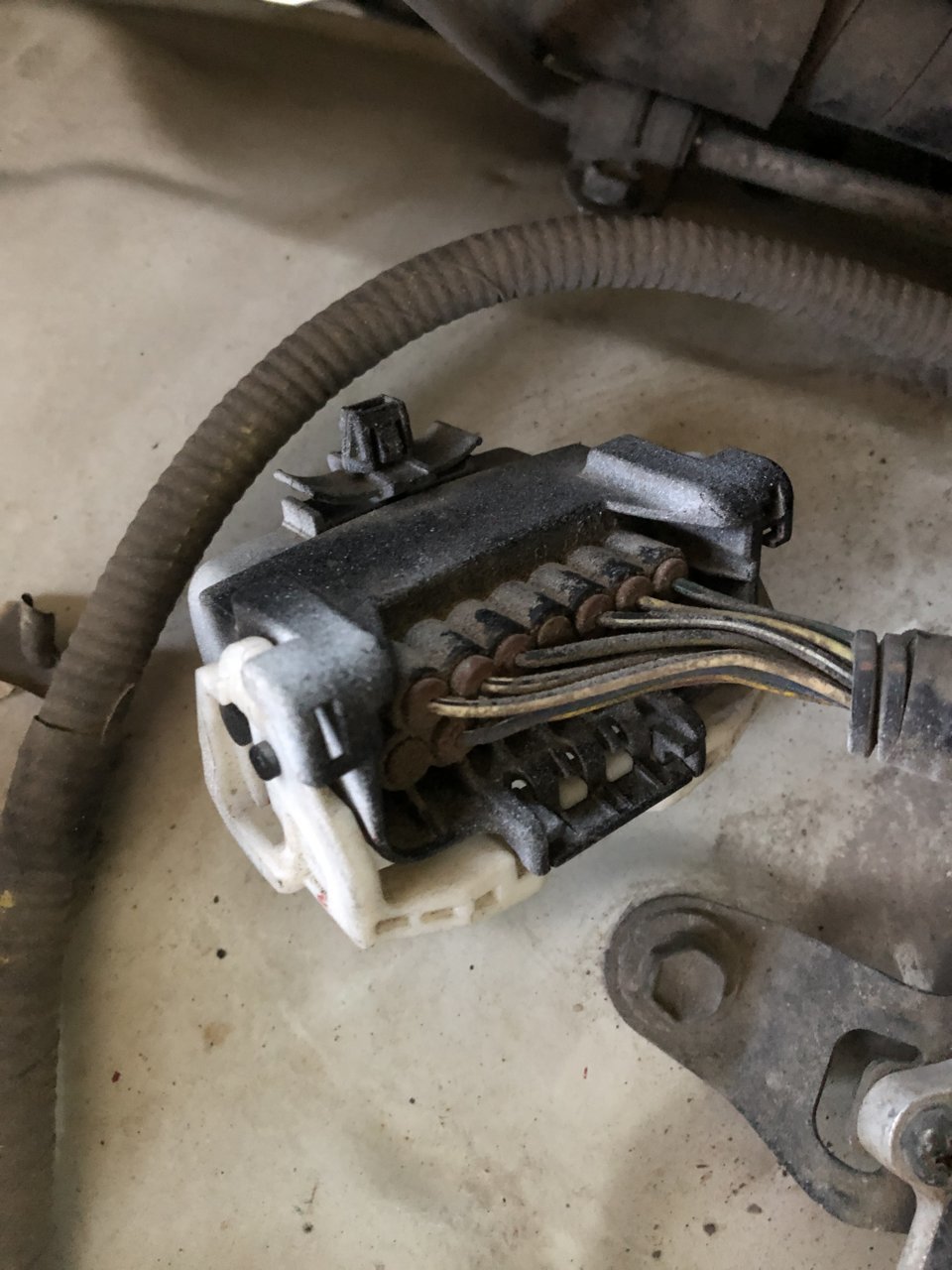 8060C2C2-17FC-4AE5-AD1E-9240AC200DE6.jpg