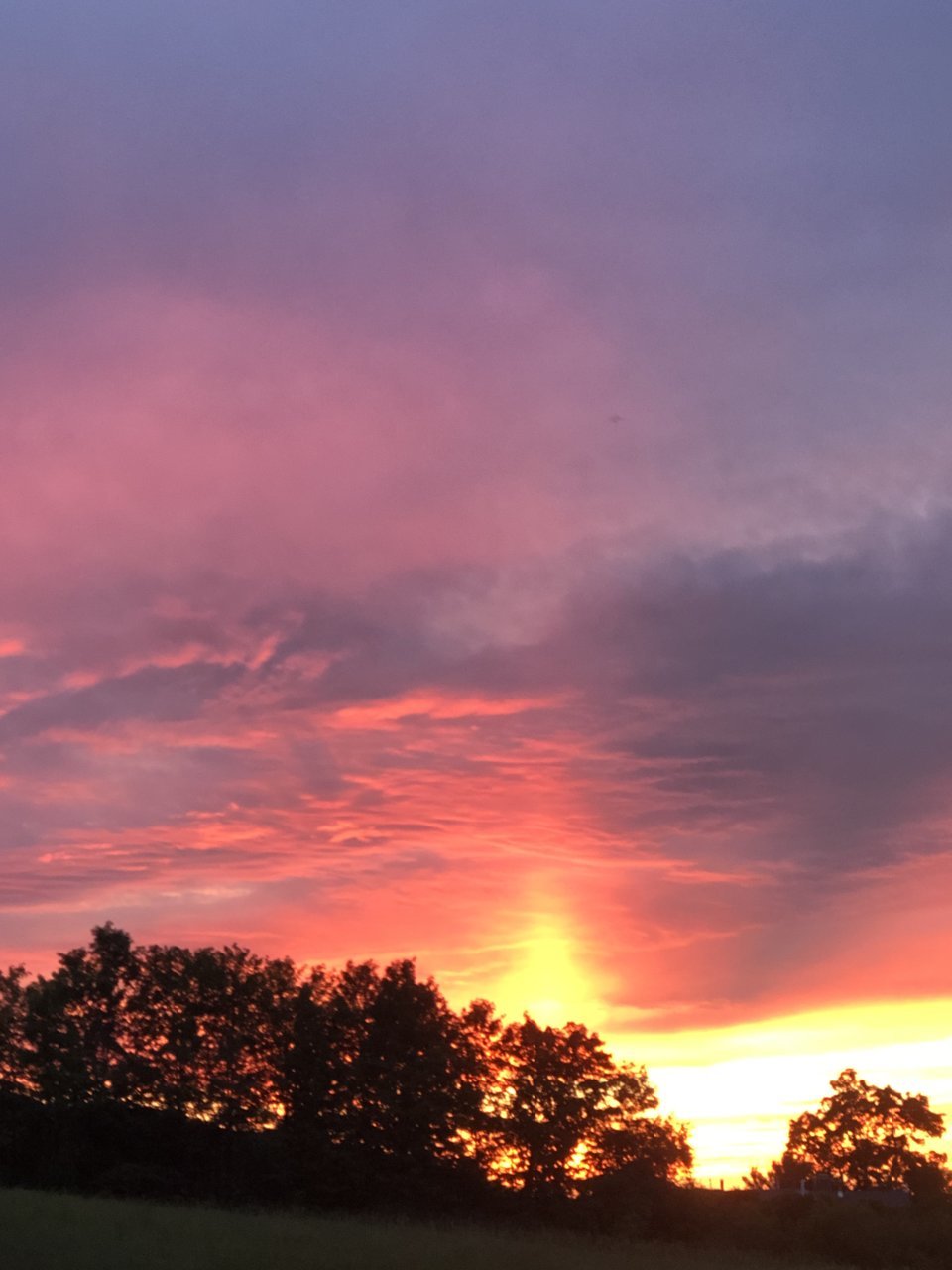 80F41F3D-7A38-4E47-AAC4-9F3E361FB1A1.jpg
