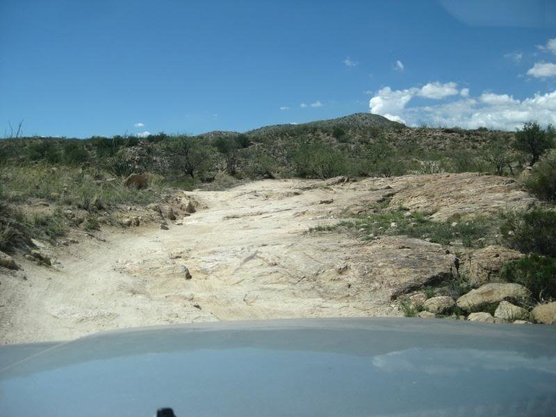 813Tucson016_283a33de2ab6733fdabc48bfddc9e654fb642339.jpg