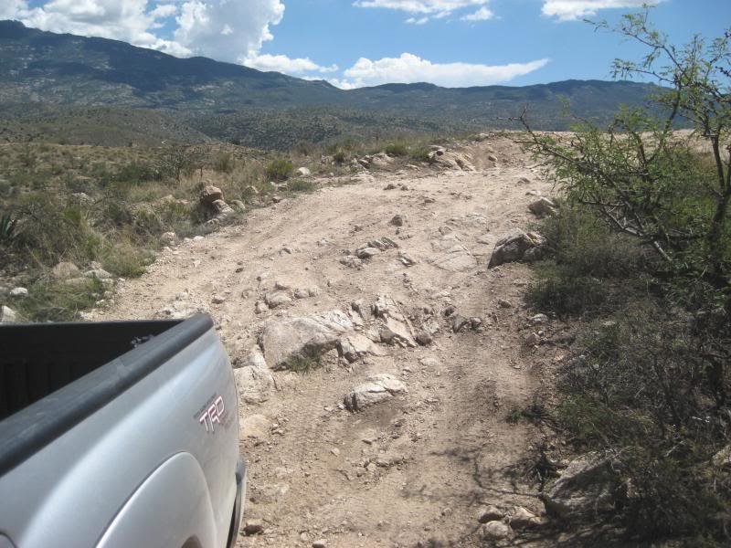 813Tucson017_7867b23a9936c0accb90d823492fcf612fc99939.jpg