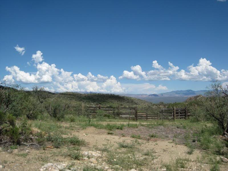 813Tucson020_94f1ab10acd0a5e42fc7835b83e5f9a1452a06a2.jpg