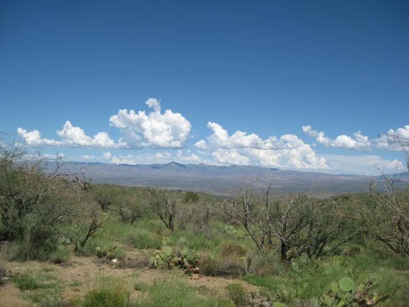 813Tucson022_7ea890fb34ff7cfd40800ce80ea7b2793bc1531f.jpg