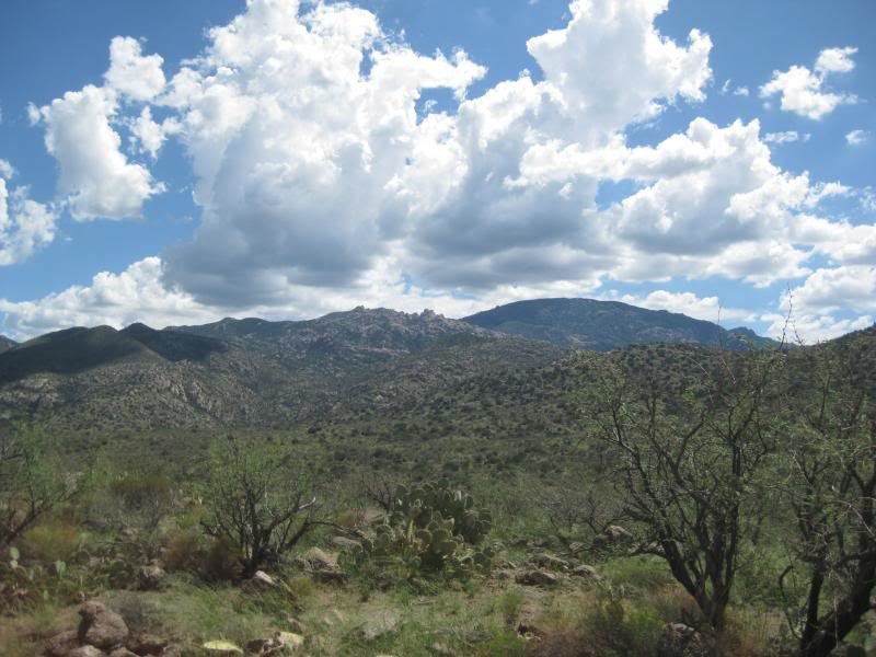 813Tucson024_af13e5fba91f0e1c24aa2b3792ec63040beffd45.jpg