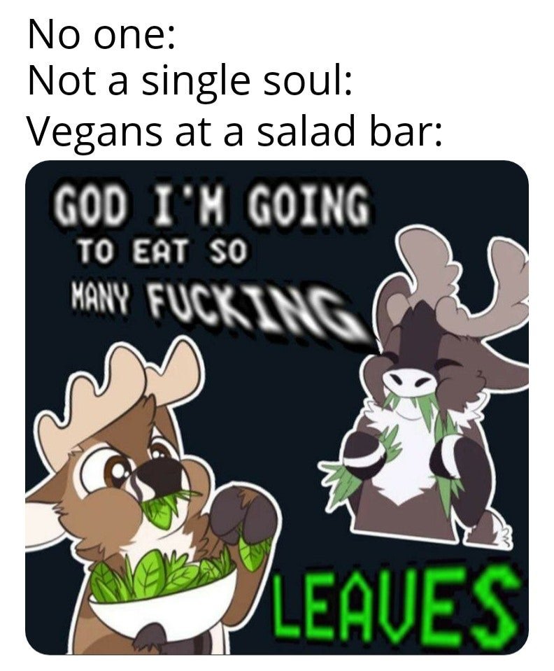 8157cfb.jpg
