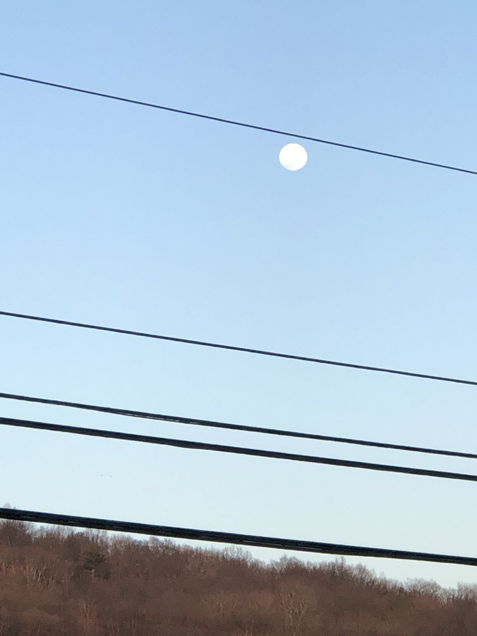 817281C8-0958-4523-B06D-FC68C830257F.jpg