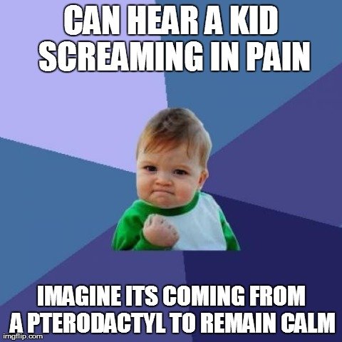 81q0m.jpg
