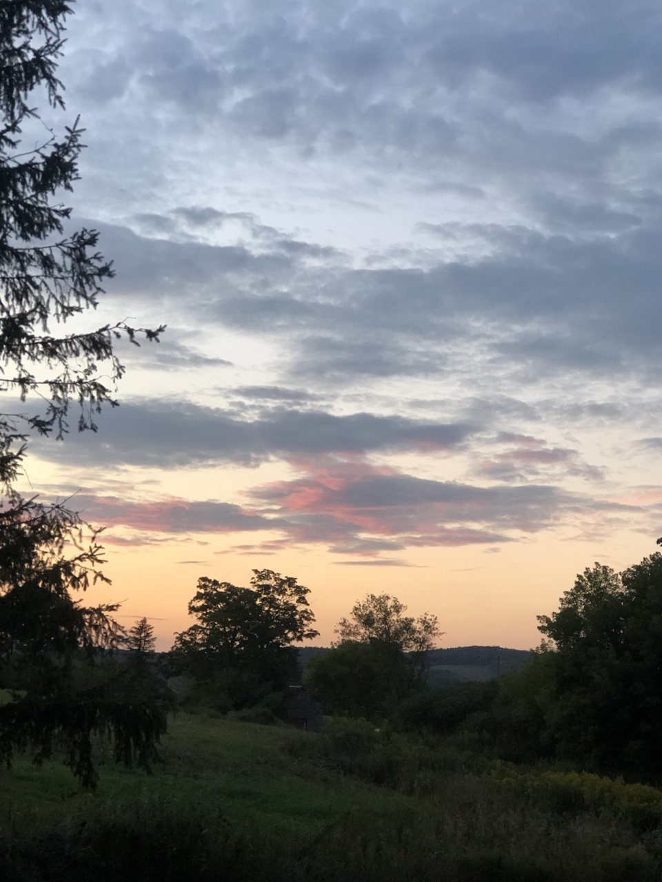 8228480F-52DE-4E03-8F32-02525B4AD35C.jpg