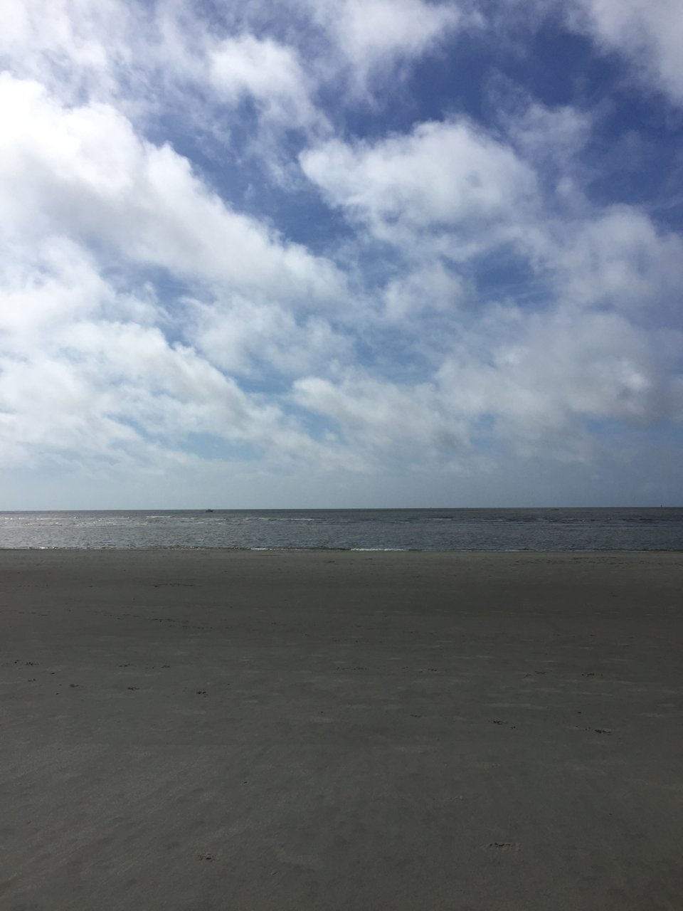 823257CC-0484-412B-93E9-133FB317D1C3.jpg