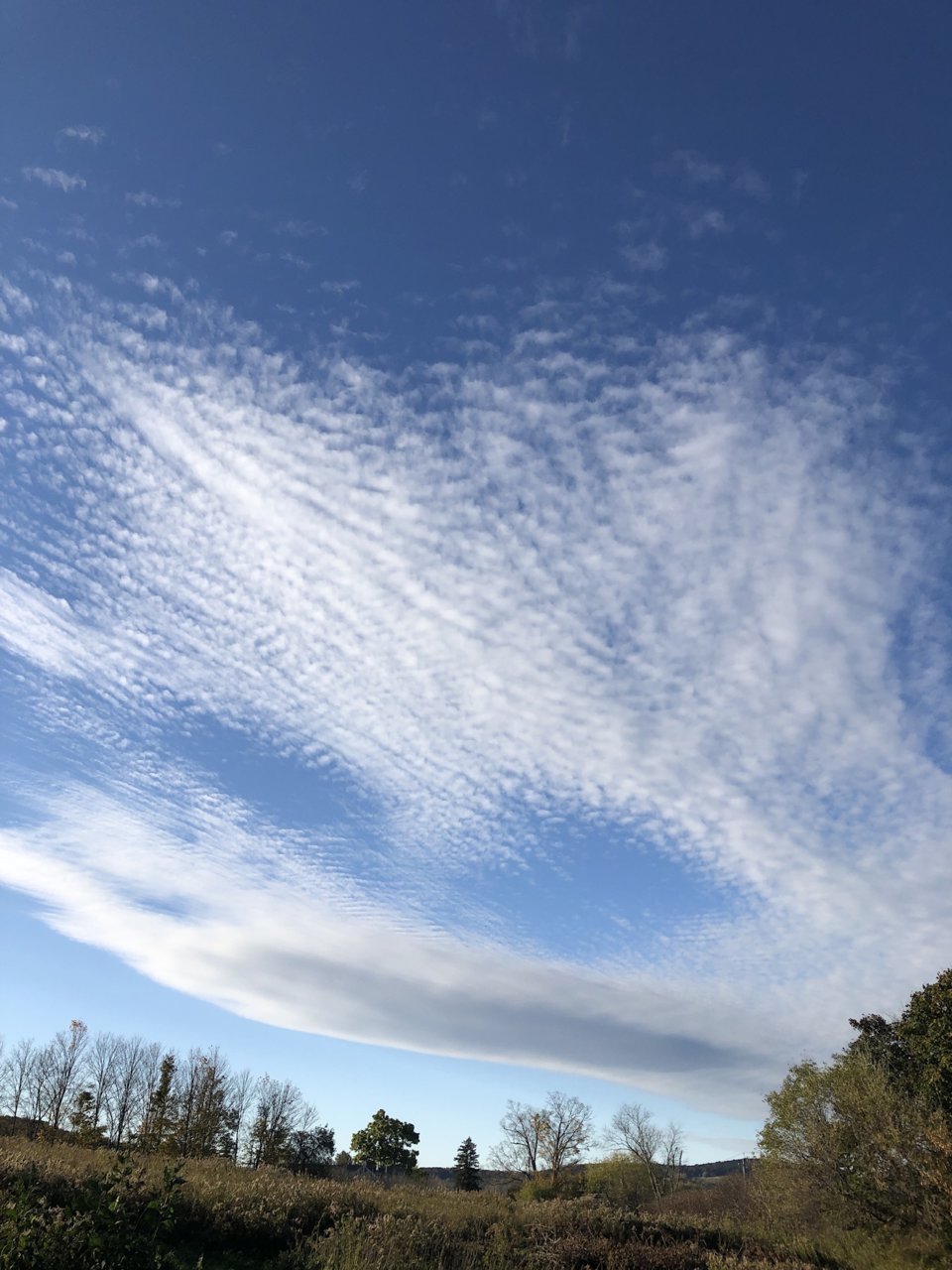 82499330-999E-484B-8692-156E24F354E8.jpg