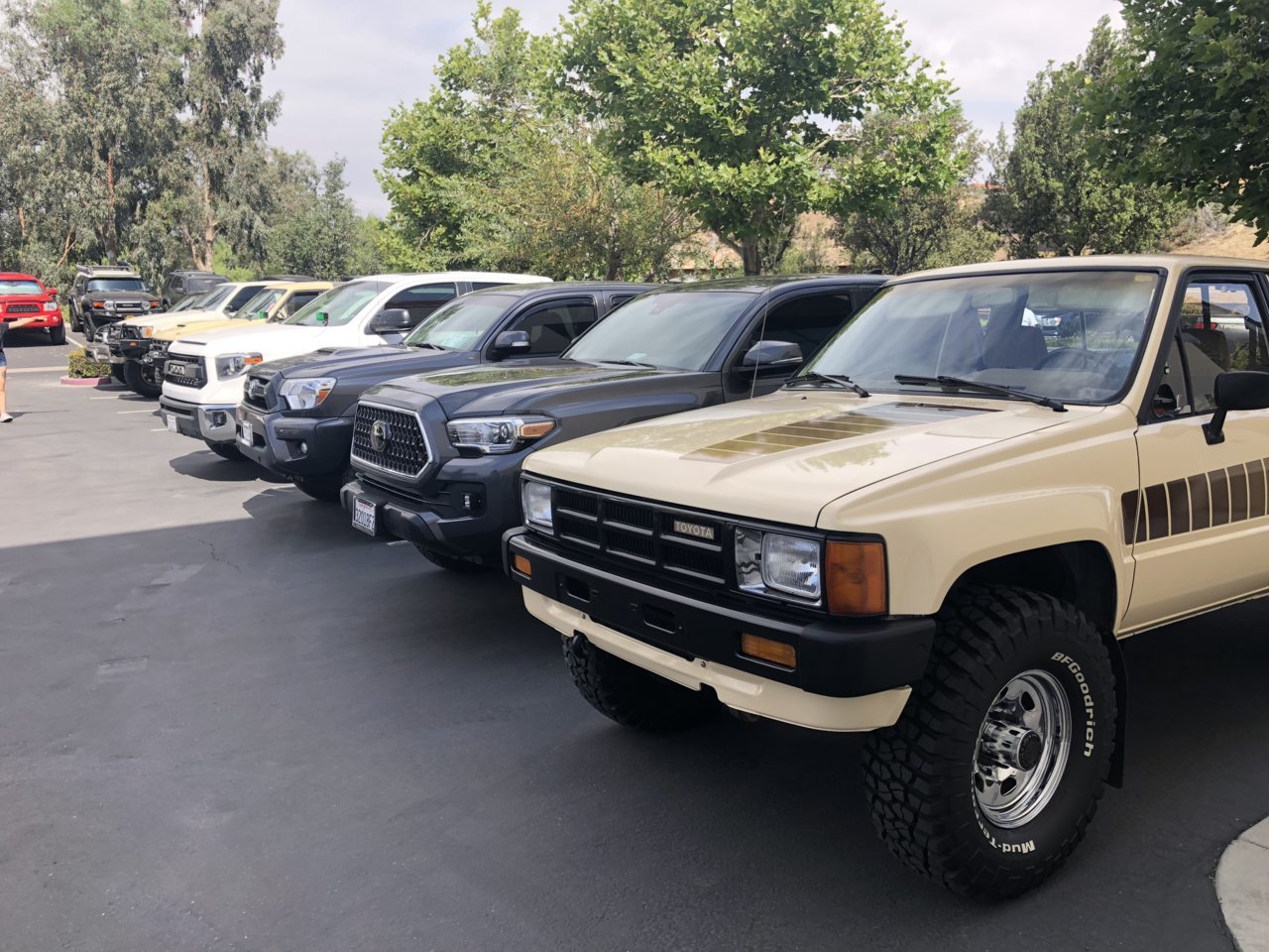 825CC104-DB27-4343-8378-6B7E3E31C952.jpg