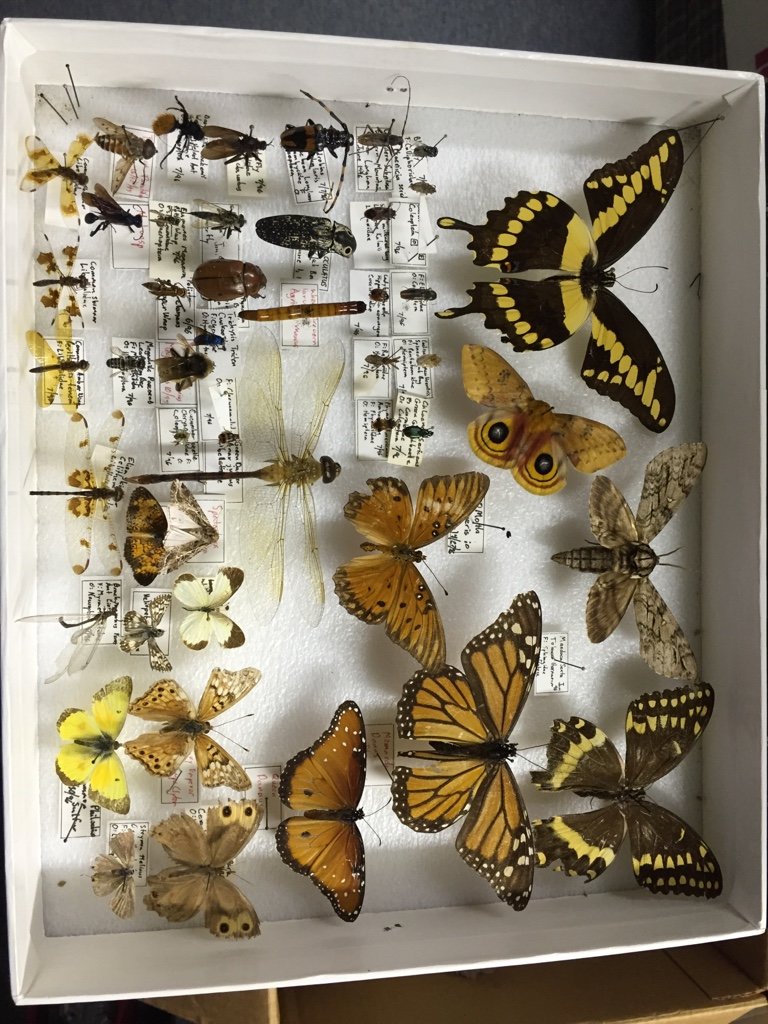 825e2c4c5560e9e56a8d32e94e518ada_cabae3da793a57dce7555db376f81bb3571e2793.jpg