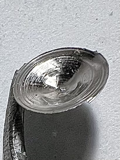 82C65325-137E-4EF4-857F-384BAD56A44A.jpg