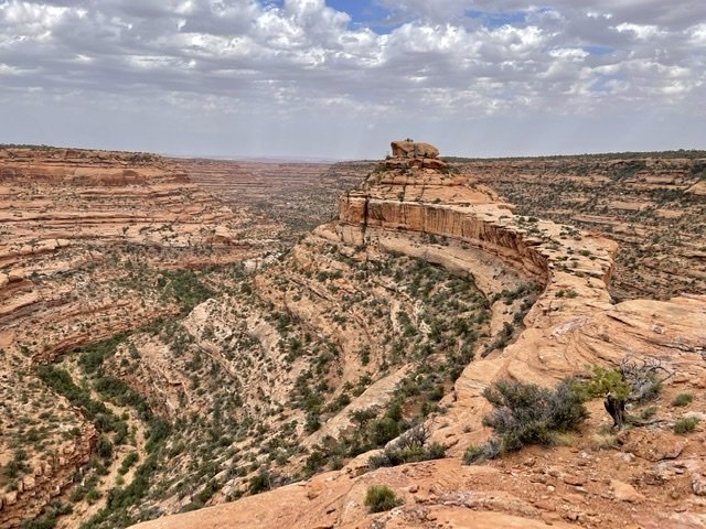 82F3709B-B34E-4422-B656-D28FB0F5F62C.jpg