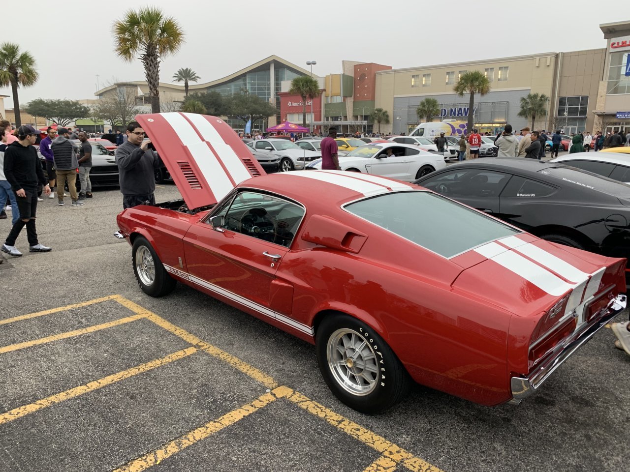 82F58172-2C69-4C9B-92B0-3C1BF49E4097.jpg