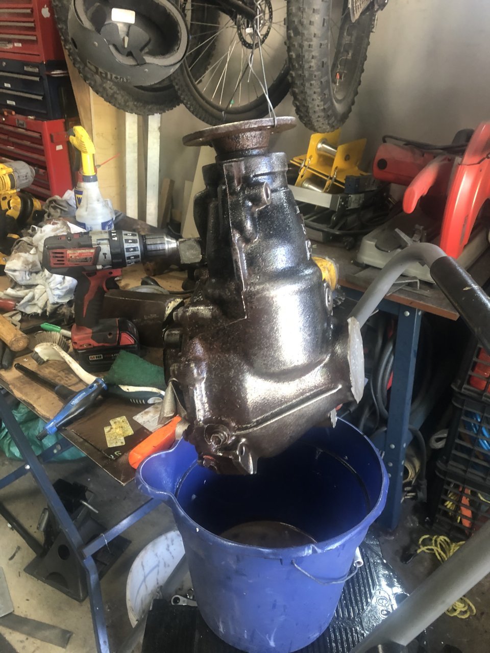 8300D1CC-1FFE-40A0-B38C-B387C8B14D95.jpg