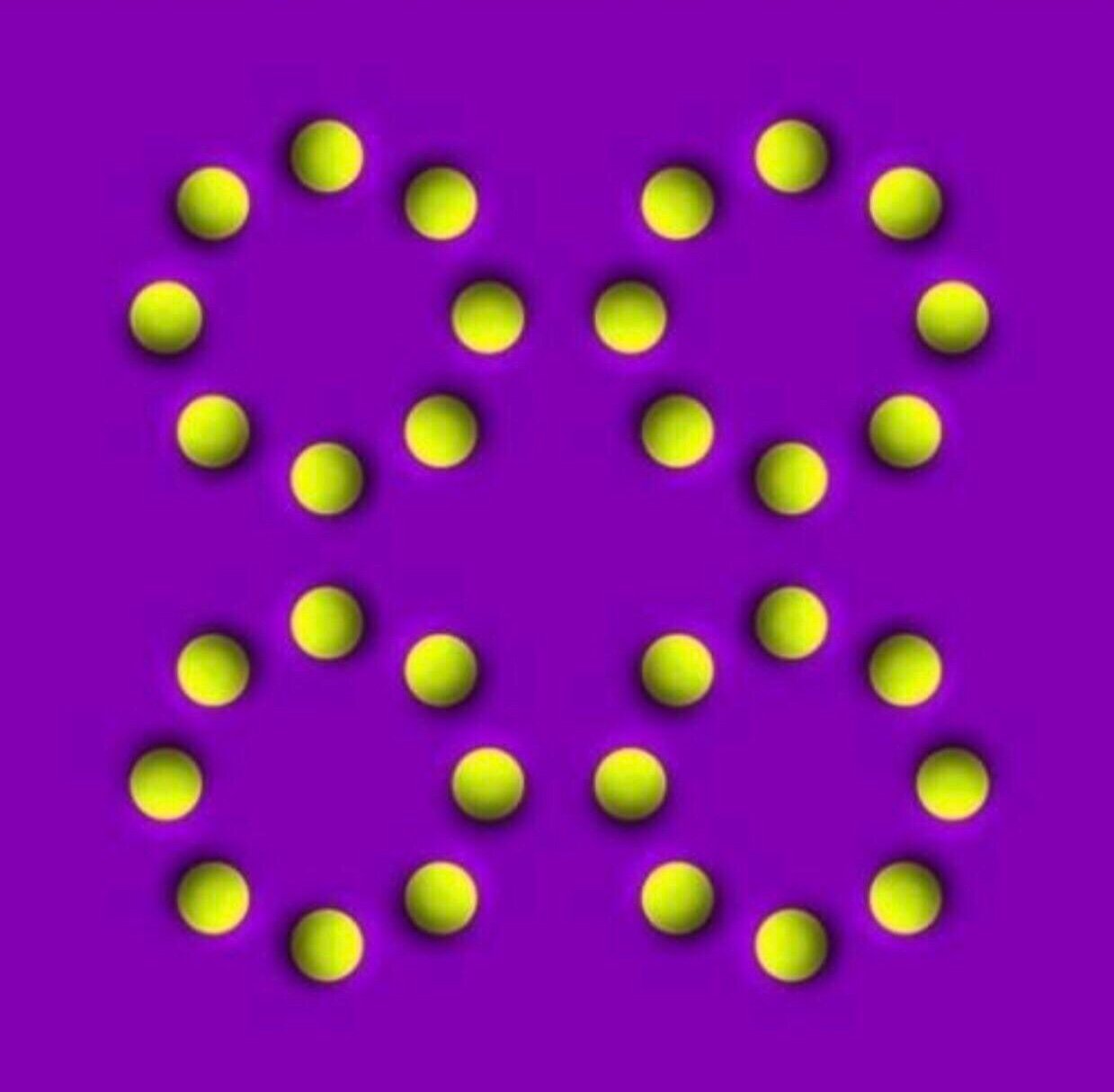 83286128-3787-4CB0-850B-D4EE450CCA8C.jpg