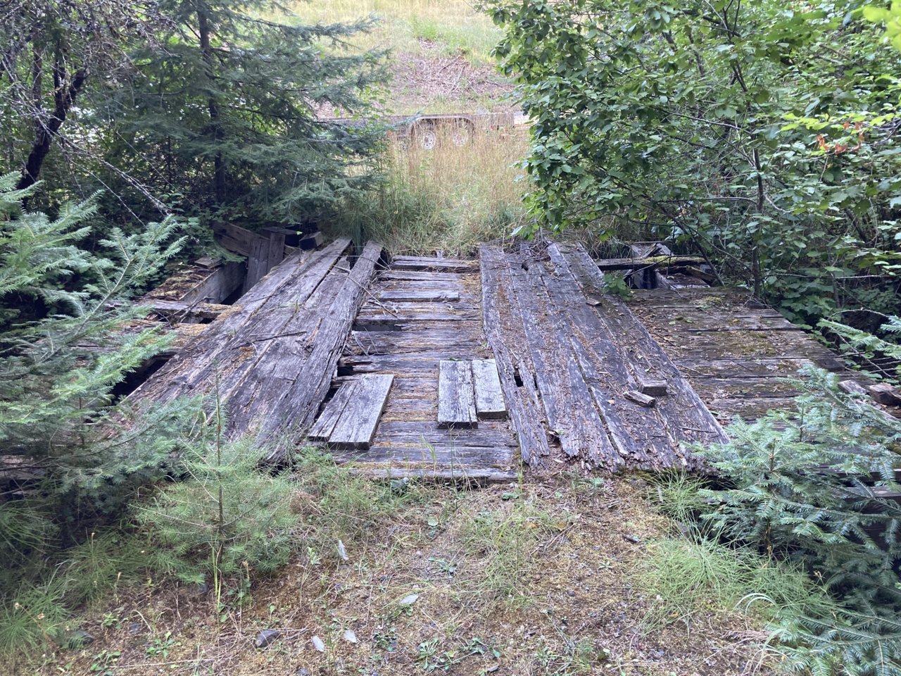 836C1D08-6678-4B9A-AA71-E21AC6A848E1.jpg