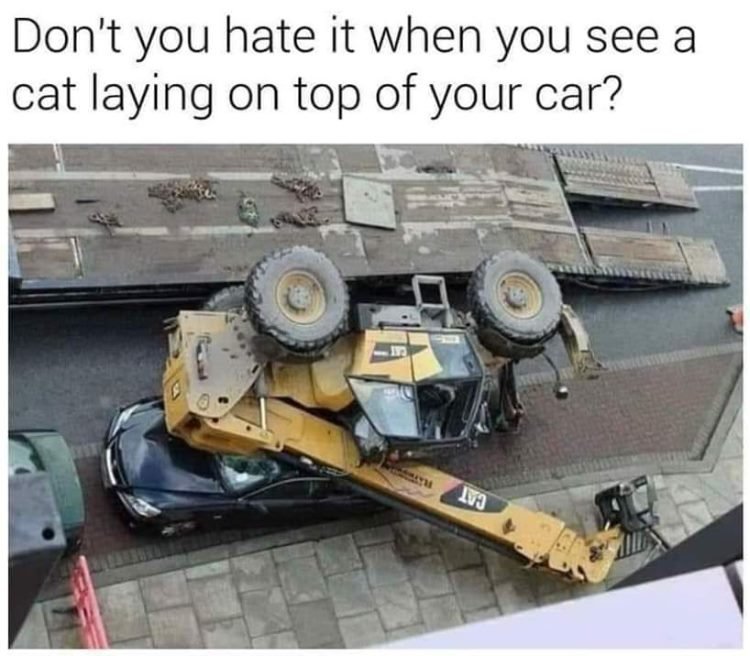 83862026_3461842243830864_6178013428242710528_n.jpg