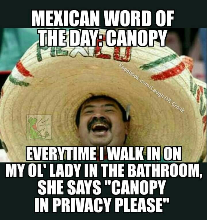 83a2d86ee1e6ac36b6a958f100f06dcb--mexican-seasoning-mexican-words.jpg