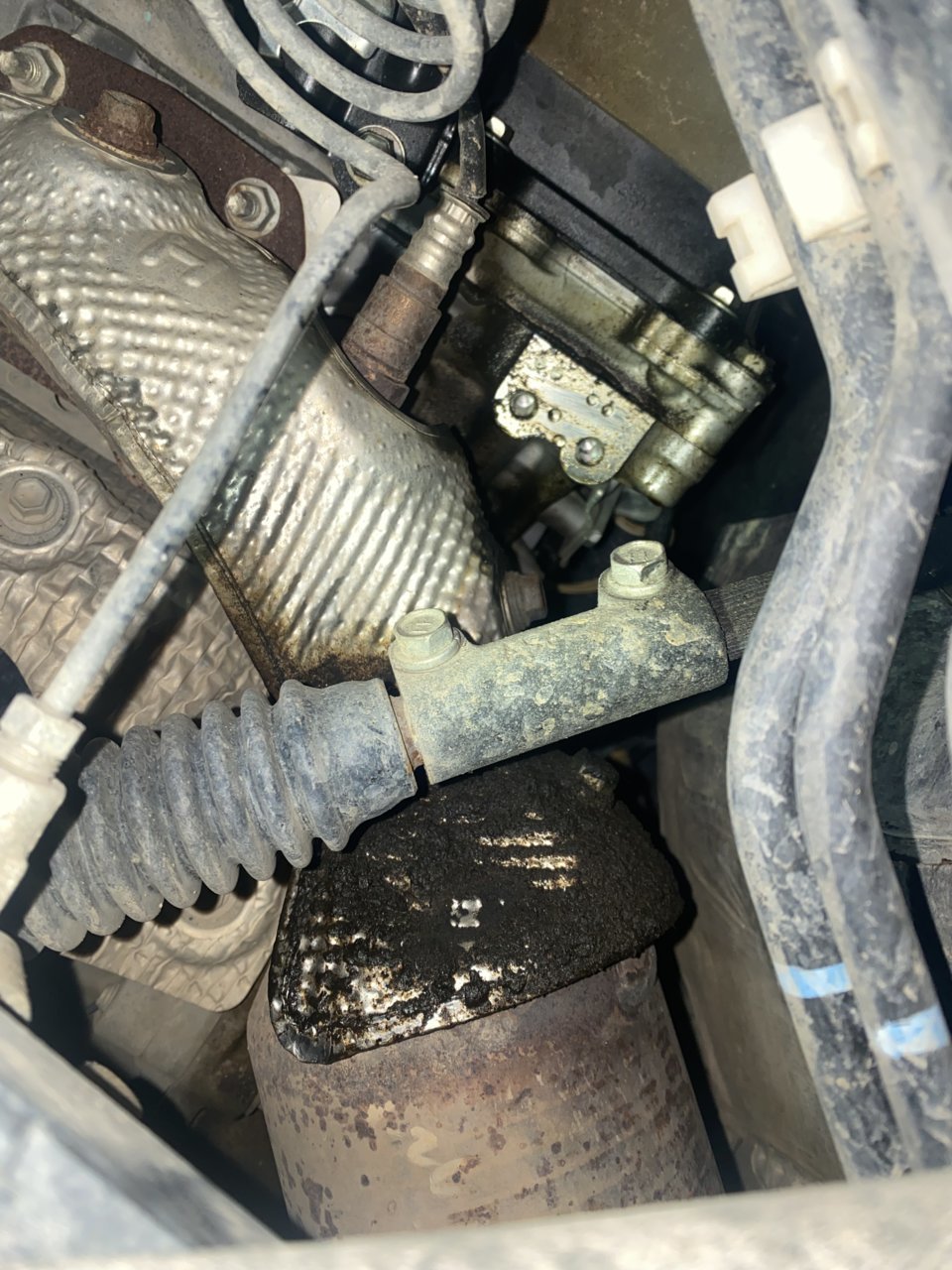 83B8DC8E-AF94-4320-8960-45CC54A5CC98.jpg