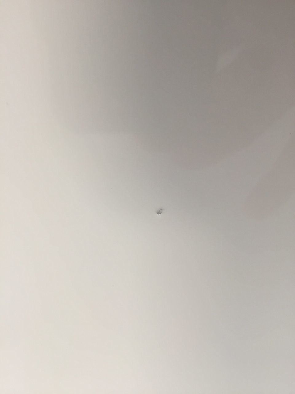 83CA158E-680B-4841-B8D3-8CEAA76EC1BF.jpg