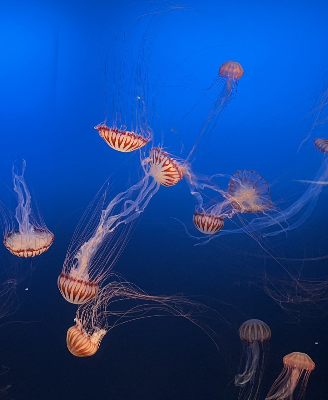 83D34F04-20F7-4779-97A0-1EEFF5EFB022.jpg