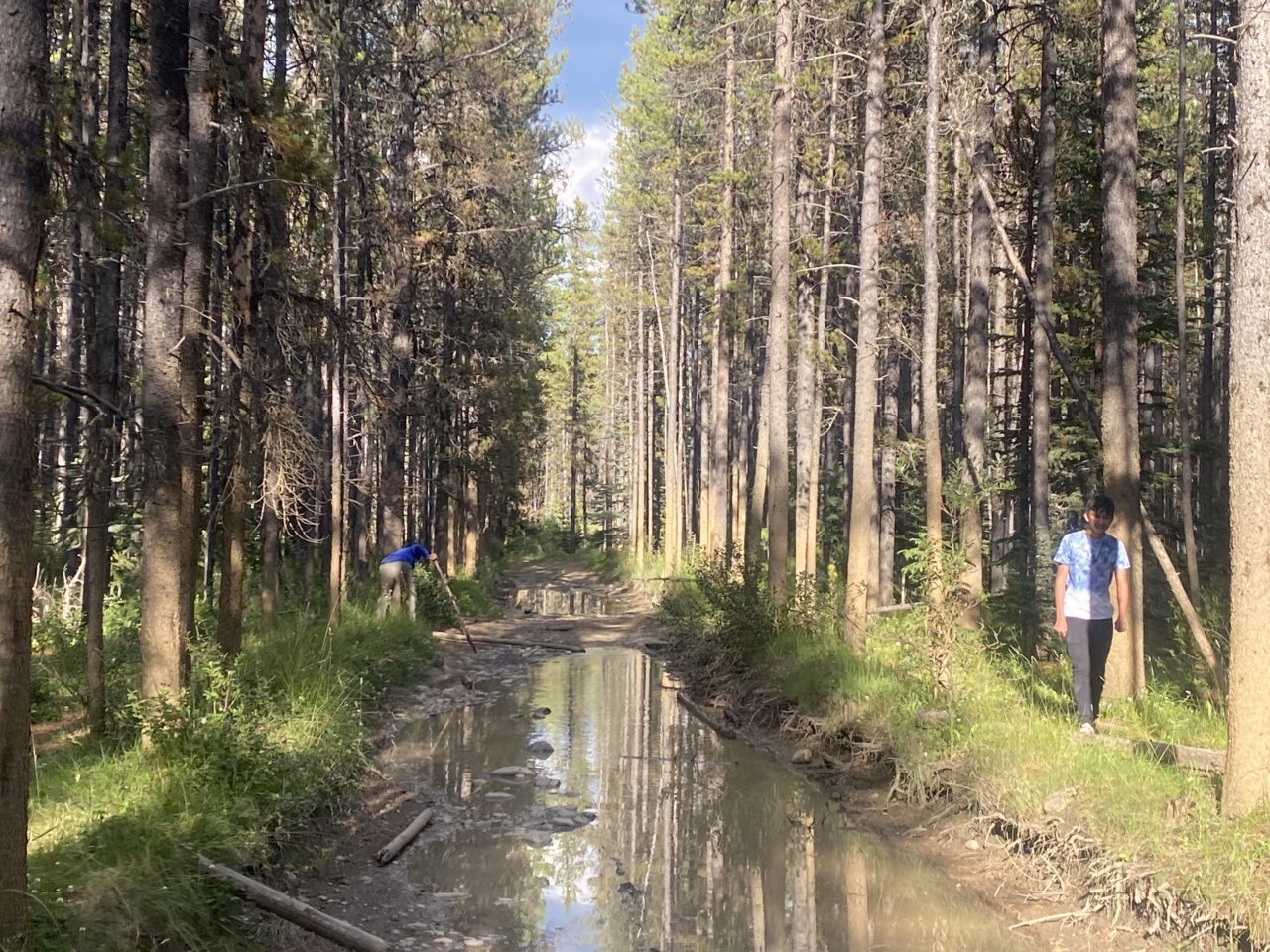 Lost Knife Trail Alberta - TRD Offroad & Rubicon | Tacoma World