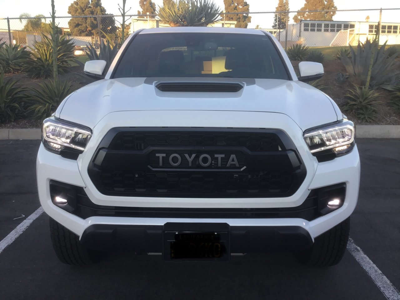 83FEF008-D0D4-4E99-8D78-BD5ACD99D8CC.jpg